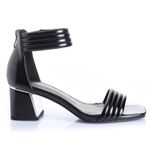22532603-negro-01