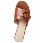 22543604-camel-03