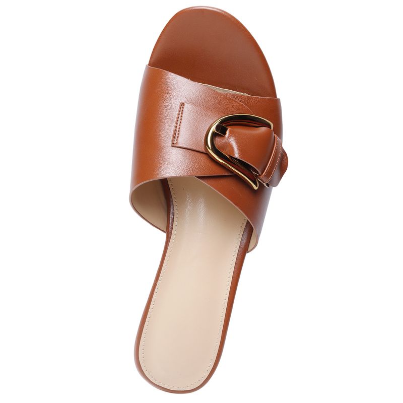 22543604-camel-03