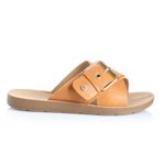 22601644-camel-01