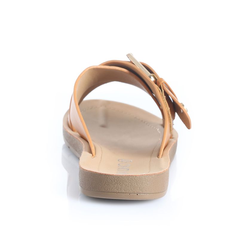 22601644-camel-02