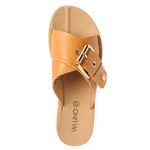 22601644-camel-03