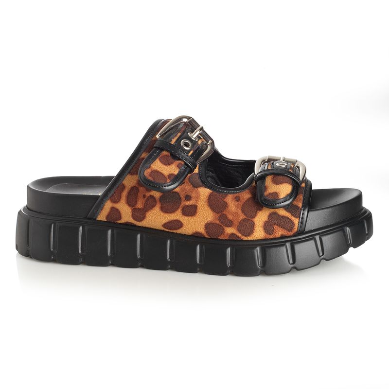 22641603-leopardo-01
