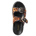 22641603-leopardo-03