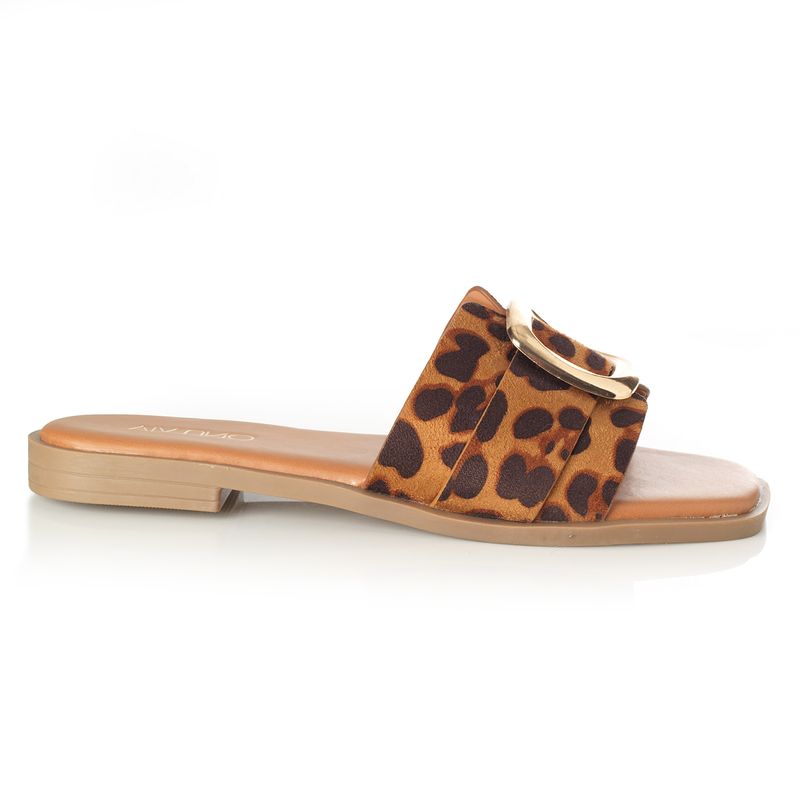 22601629-leopardo-01