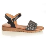 22641608-negro-01