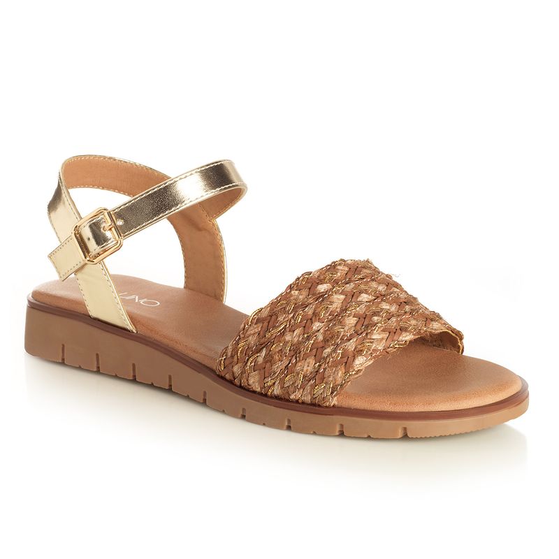 22641608-camel-04