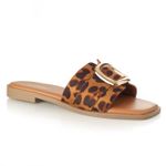 22601629-leopardo-04