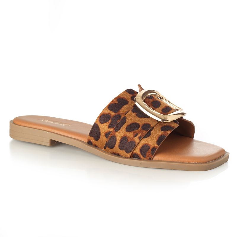 22601629-leopardo-04