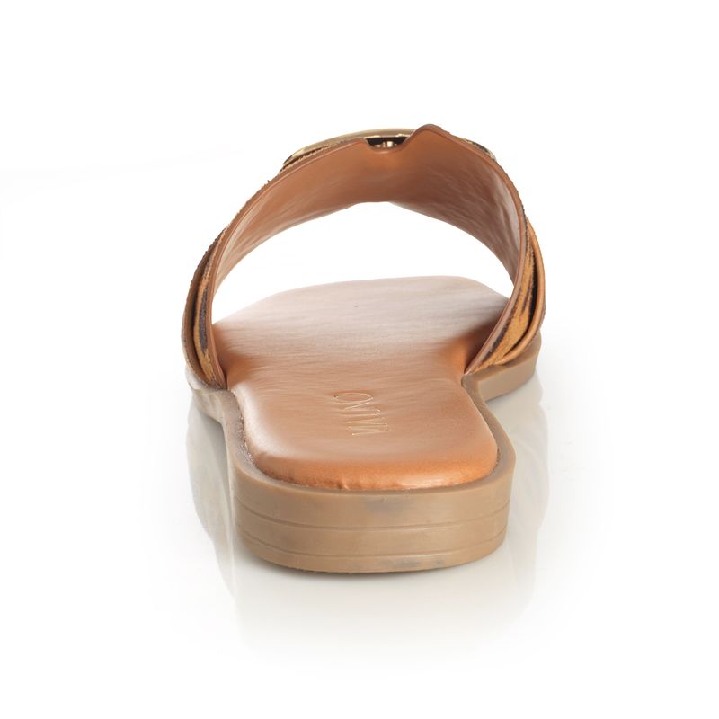 22601629-leopardo-02