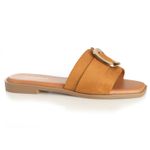 22601629-camel-01