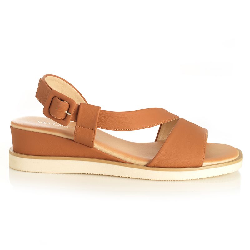 22641609-camel-01