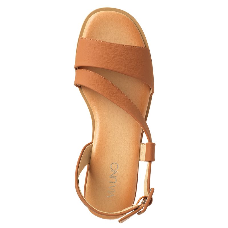 22641609-camel-03