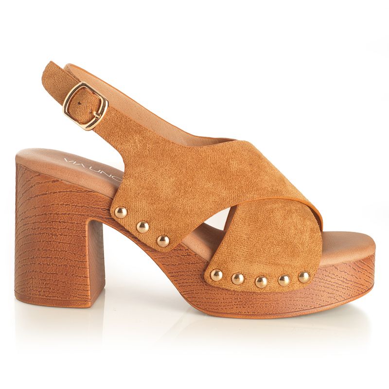 22633620-camel-01