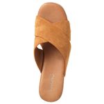 22633619-camel-03