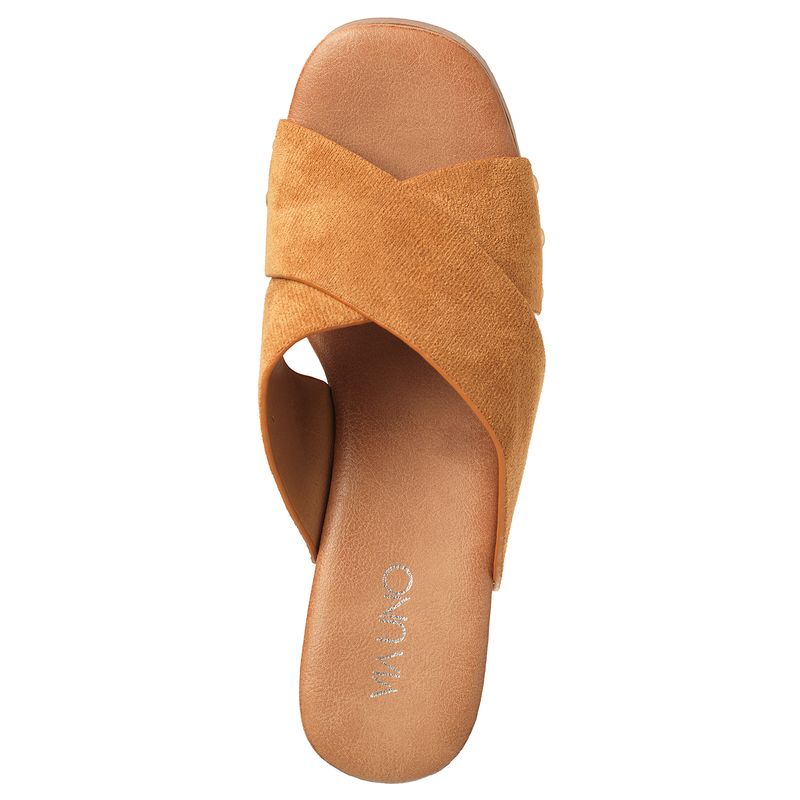 22633619-camel-03