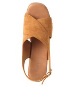 22633620-camel-03