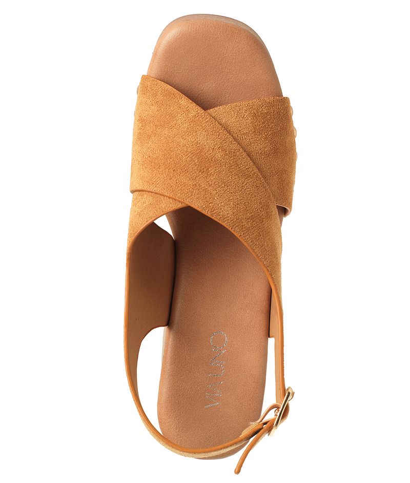 22633620-camel-03