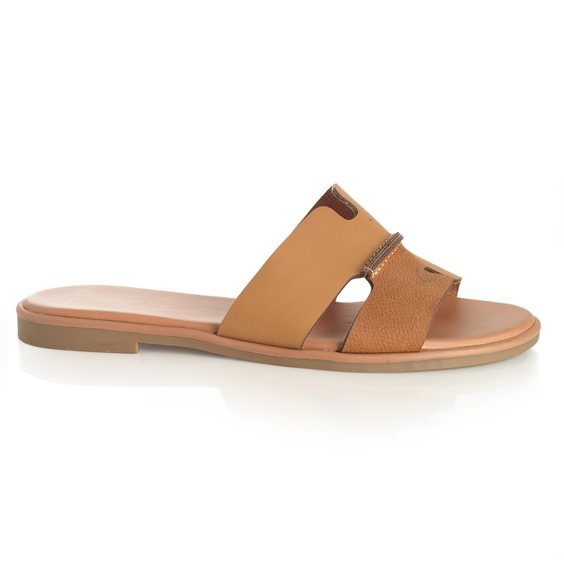 22601641-camel-01