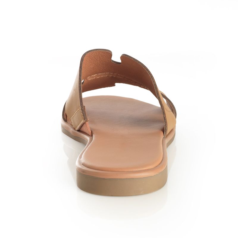22601641-camel-02