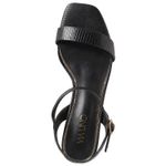 22633626-negro-03