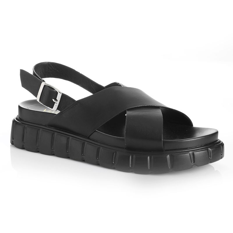 22641604-negro-04